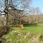 Couette-café La Ferme De Jeanne Saint-Girons (Ariege)