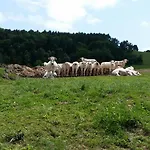 La Ferme De Jeanne Couette-café Saint-Girons (Ariege)