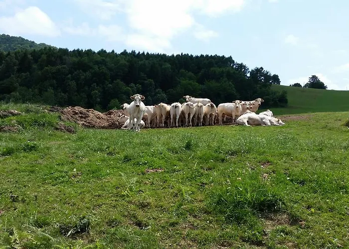 La Ferme De Jeanne Отель типа 