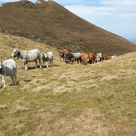 La Ferme De Jeanne Bed & Breakfast Saint-Girons (Ariege)
