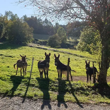 Bed and Breakfast La Ferme De Jeanne