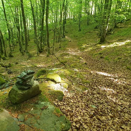 Bed & Breakfast La Ferme De Jeanne Saint-Girons (Ariege)