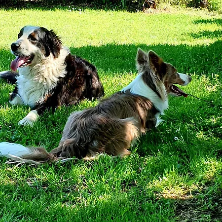 La Ferme De Jeanne Bed & Breakfast Saint-Girons (Ariege)