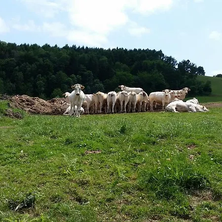 La Ferme De Jeanne Bed & Breakfast Saint-Girons (Ariege)