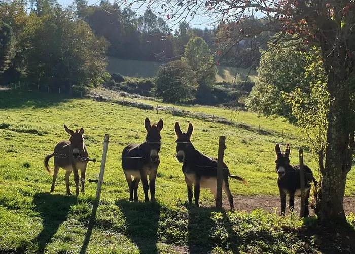 ベッド・アンド・ブレックファスト La Ferme De Jeanne