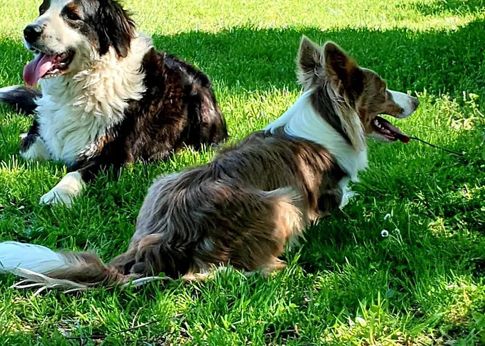 La Ferme De Jeanne ベッド・アンド・ブレックファスト サン・ジロン