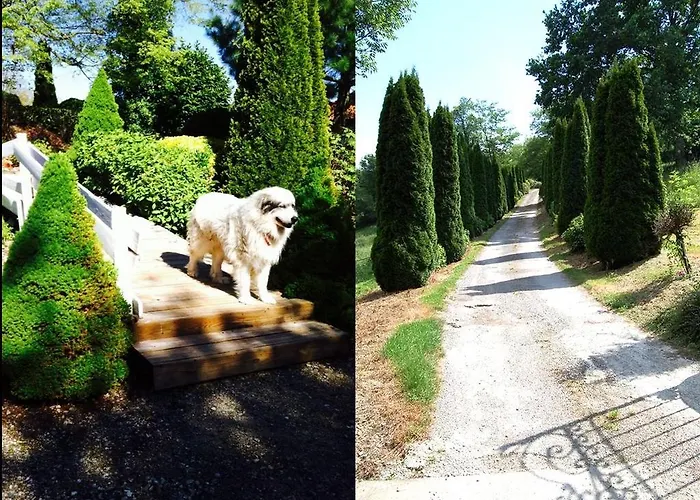 ベッド・アンド・ブレックファスト La Ferme De Jeanne